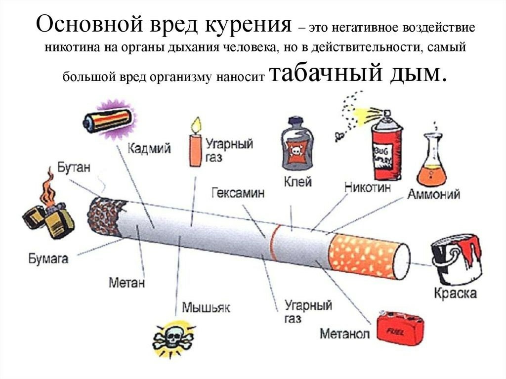 29 ноября в нашей школе прошла профилактическая перемена «Мы за чистые лёгкие!» в рамках Недели профилактики употребления табачных изделий..