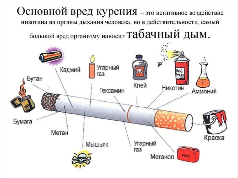 29 ноября в нашей школе прошла профилактическая перемена «Мы за чистые лёгкие!» в рамках Недели профилактики употребления табачных изделий..
